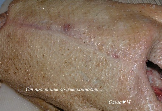 1. Этап. Рождественский гусь с фруктами и картофелем: Духовку предварительно разогрейте до 220°С. Тушку гуся вымойте, хорошенько просушите бумажным полотенцем, удалите большие куски жира и проткните вилкой по всей поверхности кожи. Натрите солью тушку изнутри и снаружи, перцем только изнутри.