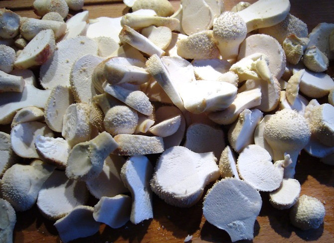 1. Этап. Суп из свежих дождевиков: Переберите грибы, отберите самые молодые с плотной белой мякотью. Промойте, крупные грибочки порежьте, мелкие можно оставить целыми. Также порежьте картофель и бросьте его в кипящую воду или мясной бульон. Посолите.