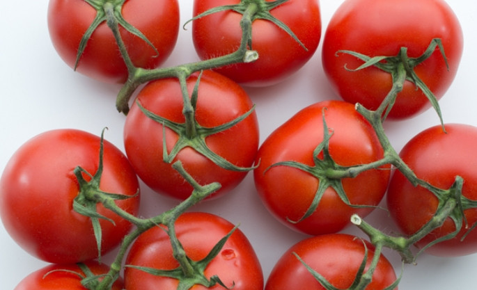 1. Этап. Томатный суп Гаспачо: 1. Выбирайте спелые и сочные томаты, чтобы было много сока. Вымойте овощи: очистите помидоры от кожуры, очистите перец от семян и нарежьте его кусочками, огурцы очистите от кожуры и нарежьте их кружочками, очистите чеснок и лук, нарежьте кусочками.