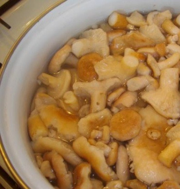 1. Этап. Волнушки на зиму: 1. Грибы тщательно промываем, очищаем, и оставим на два дня отмокать. Каждый день меняем воду! Затем в чистой подсоленной воде варим грибы, пока не опустятся на дно, и откинем на дуршлаг.