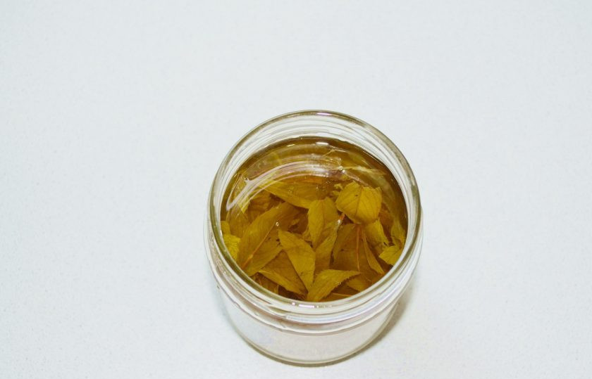 1. Этап. Мятная настойка на самогоне: Вот такой цвет приобрела настойка.