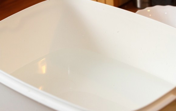 1. Этап. Итальянская домашняя салями: В воде разведите культуры белой плесени. Оставьте их на час созревать.