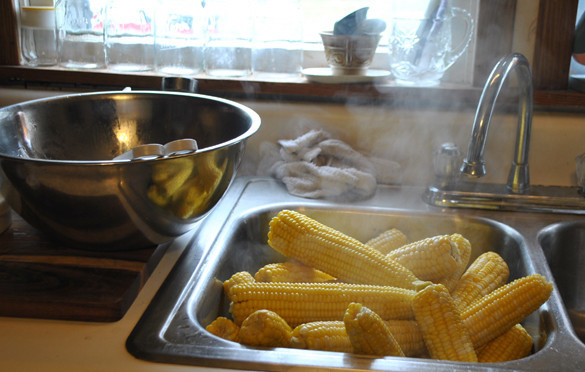 1. Этап. Консервированная кукуруза в початках на зиму: 4. Затем кукурузу надо выложить в чистую раковину или другую емкость и остудить. Воду, в которой варились початки, не сливаем!