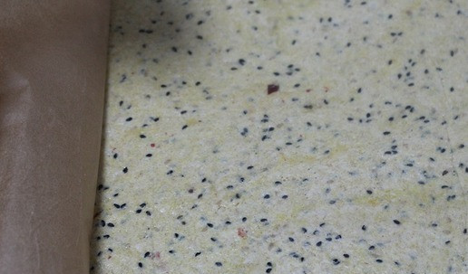 1. Этап. Хрустящие крекеры из поленты и кунжута: Очень тонко раскатать тесто между двумя листами пергамента (у меня тонко, но можно было бы и потоньше). Снять верхний пергамент