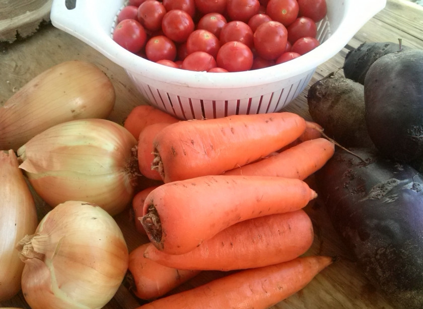 1. Этап. Салат Красный комиссар на зиму: Подготовьте ингредиенты. Помойте овощи. Свеклу и морковь натрите на крупной терке.