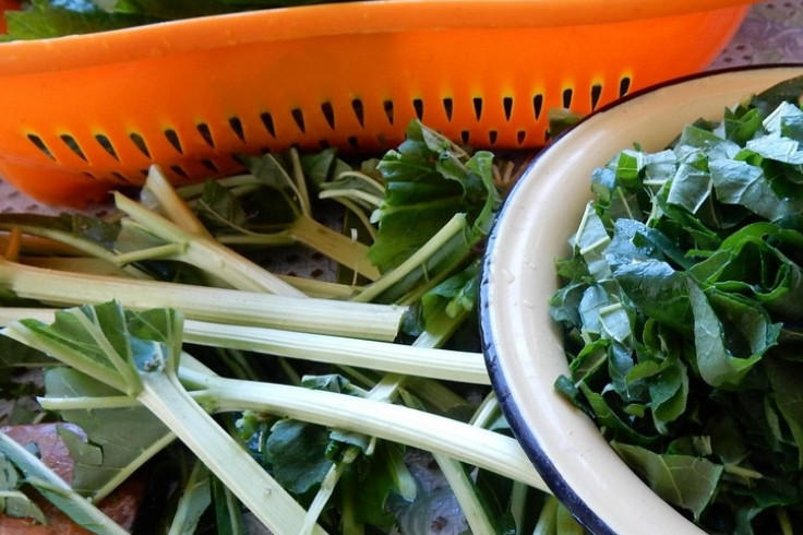 1. Этап. Суп из ревеня: Ревень промываем, срезаем листья со стеблей. Крошим листья, но не очень мелко.