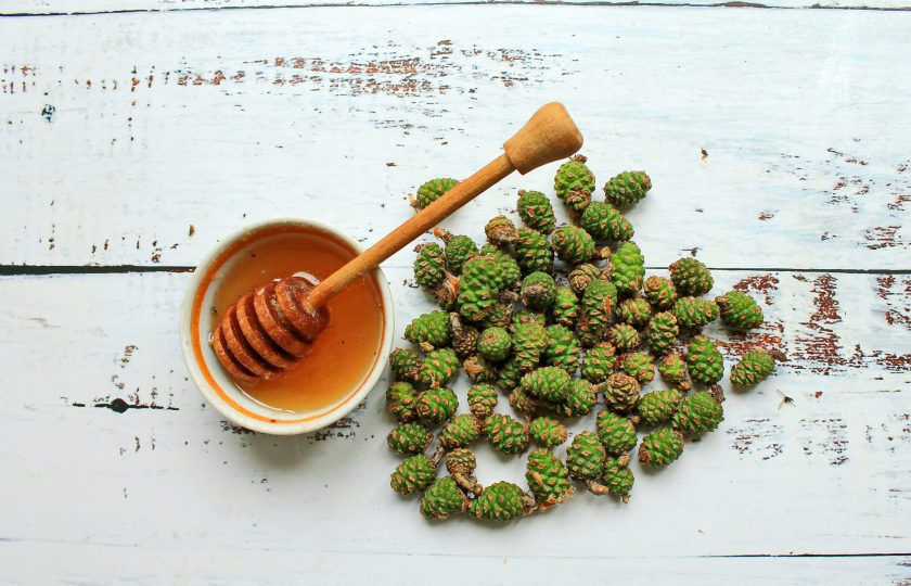 1. Этап. Варенье из сосновых шишек с медом: Подготовьте все необходимые ингредиенты для приготовления варенья из сосновых шишек с медом.