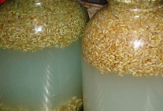 1. Этап. Бражка на пшенице: Для брожения пшеницы лучше всего иметь большую емкость с гидрозатвором. У меня такой не нашлось - подошли и обычные стеклянные банки. В большой кастрюле смешайте 15 литров воды и 5 килограмм сахара. Добавьте в полученную смесь проросшее зерно. Перемешайте, разлейте по банкам и поставить в теплое место для брожения. Бродить смесь будет дней 7, может и 10. Обязательно убирайте пену с поверхности, что будет образовываться.