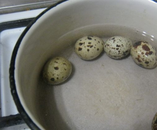 1. Этап. Салат Гнездо глухаря классический: 3. А для украшения нам нужны перепелиные яйца. Также отвариваем их до готовности.