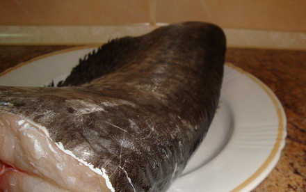 1. Этап. Сом в духовке: Разморозьте и помойте сома.