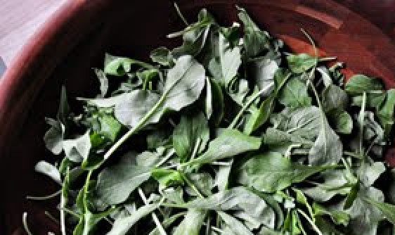 1. Этап. Салат с рукколой и помидорами: 1. Рукколу промойте и просушите. Выложите в большую миску.