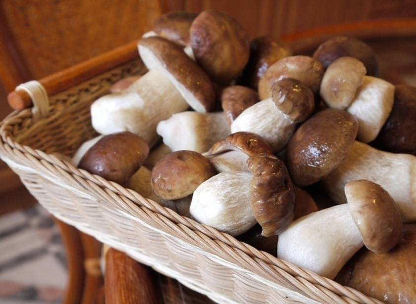 1. Этап. Маринованные белые грибы с уксусом: 1. Лучше всего брать для маринования грибы среднего размера. Если есть чуть больше - их придется измельчить, а мелкие останутся нетронутыми.