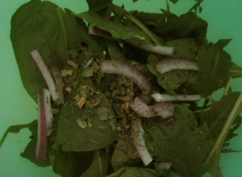 1. Этап. Салат с запеченной свеклой и сыром: Вымойте и обсушите шпинат, рукколу, лук порежьте полукольцами, измельчите петрушку.