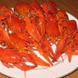 Crayfish in sour cream