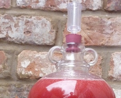 1. Этап. Рецепт малинового вина: Затем вино ещё раз процедите, перелив его через трубочку в большую бутыль. Оставьте вино дозревать в тёмном тёплом месте. Каждые 15-20 дней переливайте напиток в чистую ёмкость, убирая осадок.