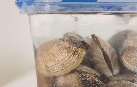 1. Этап. Спагетти с моллюсками: 1. Свежие мидии сразу после покупки положите в контейнер и залейте холодной водой, посолите хорошенько и оставьте на 1-2 дня, так мидии очистите от песка. Перед использованием еще раз промойте моллюсков.