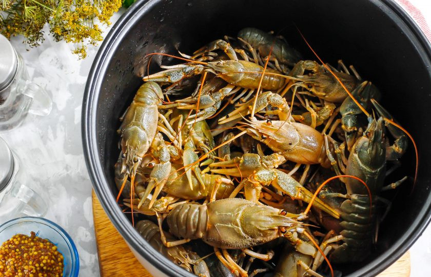 1. Этап. Раки в мультиварке: Раков тщательно промойте от песка. Если боитесь их, то сделайте это с помощью душевой лейки. Выложите их в чашу мультиварки. Заранее вскипятите в чайнике воду.