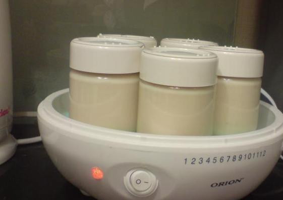 1. Этап. Ряженка в йогуртнице: Накройте каждую баночку крышками.