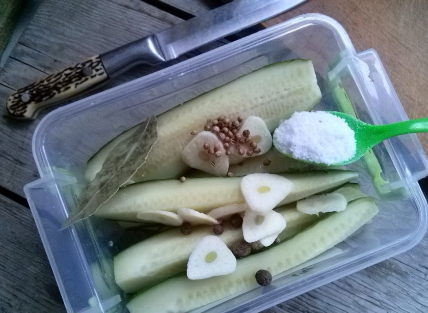 1. Этап. Маринованные огурцы без закатки: Огурцы разрежьте вдоль на четыре части, чеснок - тонкими ломтиками, укроп – мелко измельчите, складываем все в контейнер или банку. Добавьте уксус, сахар, соль, перец, лавровый лист и кориандр. Контейнер или банку закрываем крышкой и хорошенько встряхиваем несколько раз. Ставим в холодильник.