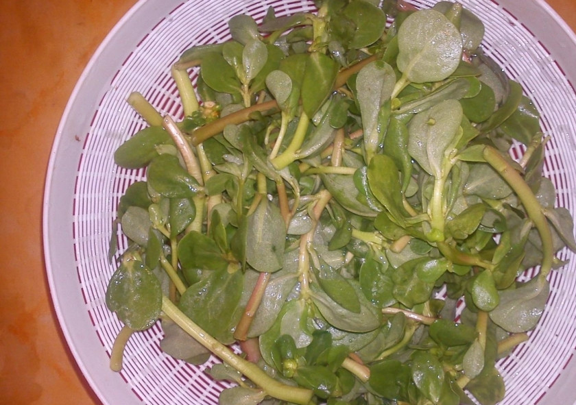 1. Этап. Маринованный портулак: 1. Самое первое — промываю портулак от земли в нескольких водах, после чего откидываю на дуршлаг и срезаю все семенные коробочки. Нарезаю веточки длиной от пяти до десяти сантиметров.