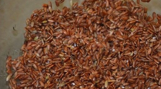 1. Этап. Бурый рис в духовке: Рис тщательно промойте.