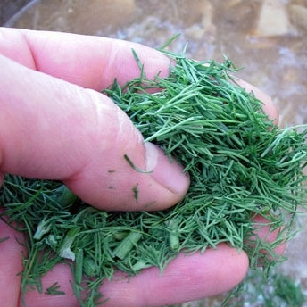 1. Этап. Пассерованный грибной суп: Через 3-4 минуты, когда лапша будет практически готова, добавляем в суп зелень и, если надо, выравниваем на соль и перец. Варим еще 2 минуты - и снимаем с огня.