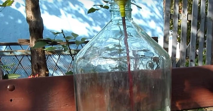 1. Этап. Самогон из винограда в домашних условиях: 5. Гуща нам понадобится еще для того, чтобы сделать чачу, поэтому ее не следует выбрасывать раньше времени. Сахара в среднем добавляется 100г. на литр (если винград сладкий и переспевший, то меньше). Когда сок будет разлит отдельно, в стеклянную емкость перекладываем виноградные выжимки и добавляем воду (из расчета примерно 1 к 3-4). В чачу также добавляется сахар (примерно килограмм из полученного количества мезги).