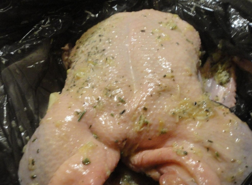 1. Этап. Рождественский гусь с яблоками: 8. Гуся вытираю насухо, затем выливаю на него маринад, натираю им гуся со всех сторон, помещаю птицу в полиэтиленовый пакет, плотно завязываю и отправляю в холодильник на ночь.