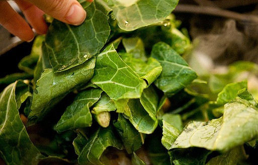 1. Этап. Яичница с брынзой: Когда обжарится лук с чесноком, выкладываем на сковороду листья салата, добавляем соль и черный перец, перемешиваем все и томим листья под крышкой на медленном огне 2-3 минуты.