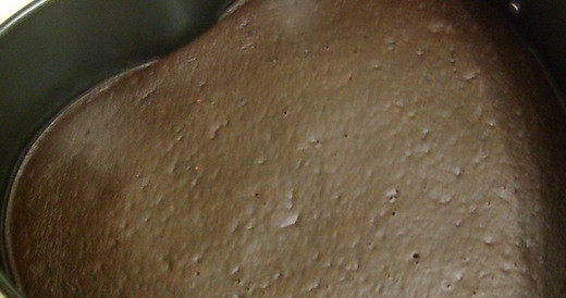 1. Этап. Шоколадный торт с черносливом: Форму для выпечки немного присыпьте мукой. Влейте в неё тесто. Запекайте корж при 180 градусах в течение 30-40 минут. Затем остудите его.