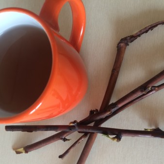 Tea from raspberry branches for colds