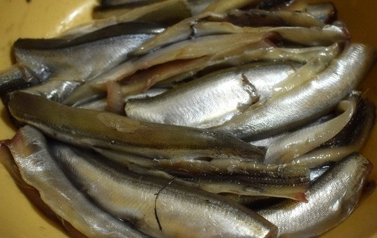 1. Этап. Мойва, запеченная в фольге в духовке: Очистите мойву: удалите головы и плавники. Разрежьте кухонными ножницами вдоль по брюшку, удалите внутренности и черную пленку. Если не убрать черную пленку, то рыбка будет горчить. Пленку легко удалять с помощью бумажного полотенца. Очищенную мойву промойте в ледяной воде.