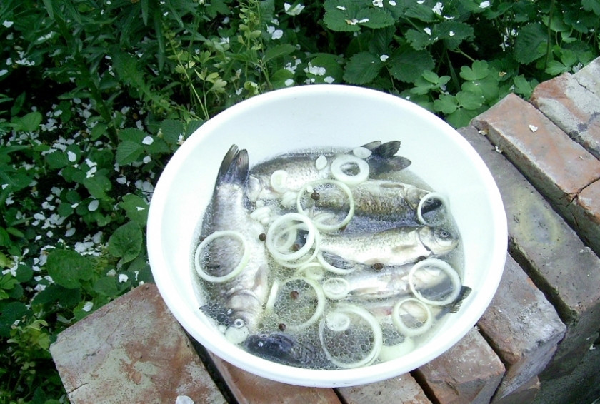 1. Этап. Караси на решетке: Затем приступаем к маринаду: лук режем кольцами, добавляем лавровый лист, перец, гвоздику, масло, немного соли и выжимаем половинку лимона. Выкладываем в маринад рыбку, добавляем немного воды и оставляем.