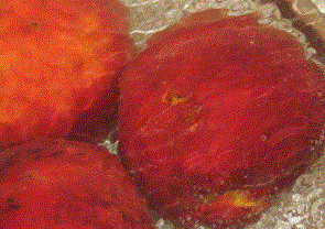 1. Этап. Варенье из персиков без косточек: Промытые персики опускаем в кипяток на несколько минут, затем резко в холодную воду.