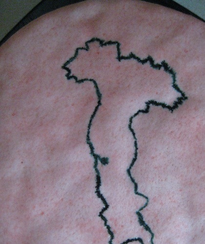 1. Этап. Торт Италия: 11. Затем оформить контрастным цветом.