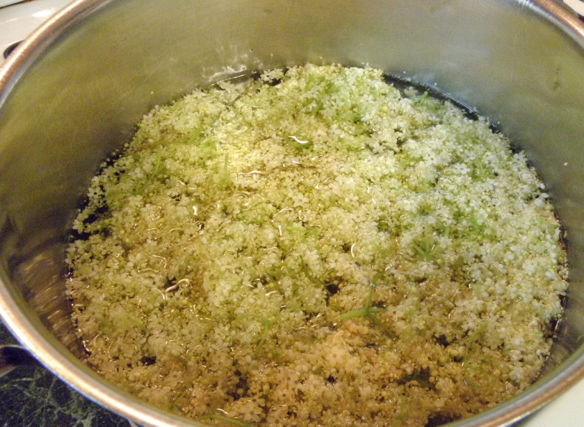 1. Этап. Мёд из бузины: 3. Заливаем цветки водой и варим на медленном огне 20 минут. Отставляем и настаиваем отвар 20-30 минут.