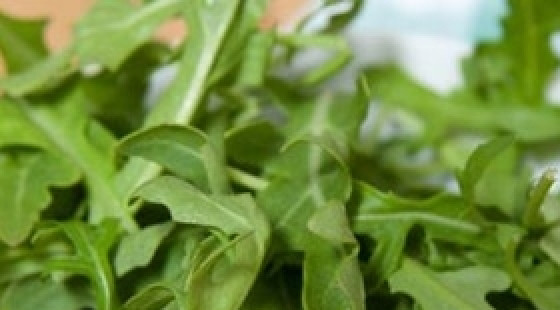 1. Этап. Салат с руколой и грушей: Руколу промыть и обсушить