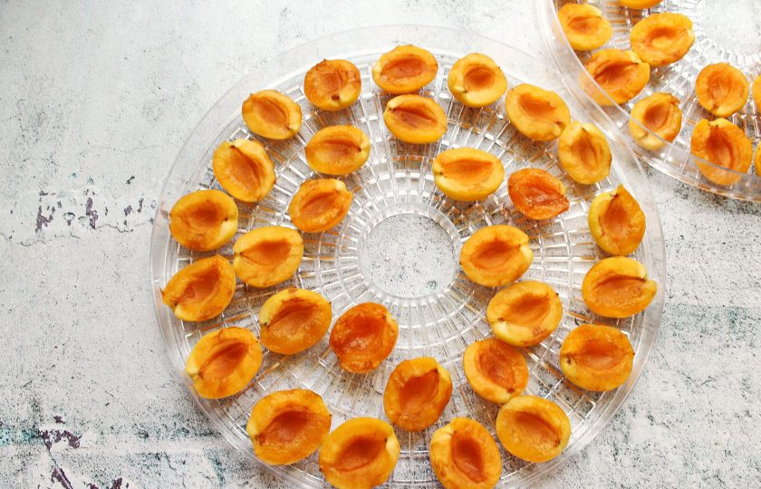 1. Этап. Сушка абрикосов в электросушилке: Разложите половинки абрикосов срезом вверх на решетки электросушилки, чтобы они не соприкасались.