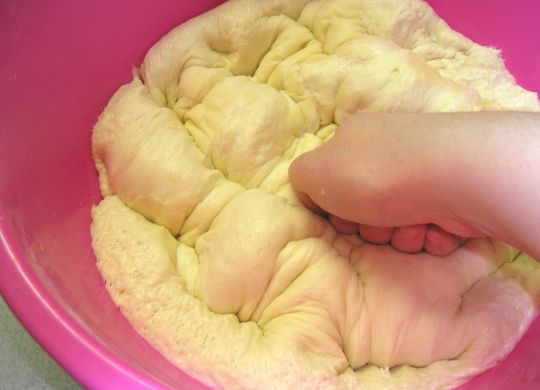 1. Этап. Плюшки с маком: Когда тесто увеличится раза в два, обмять его и снова поставить в теплое место для повторного подъёма.