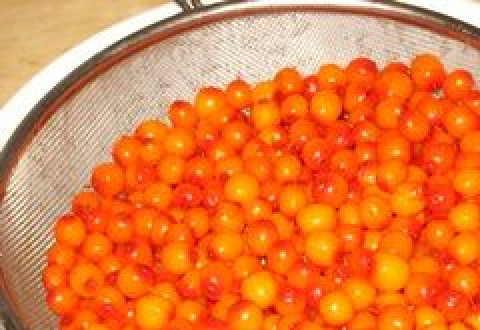 1. Этап. Варенье из облепихи без косточек: 1. В нашей семье варенье из облепихи без косточек в домашних условиях стало традиционным. Более того, однажды оно очень помогло. Итак, ягода эта красивая, но содержит очень твердые и крупные косточки. Именно от них нам, в первую очередь, и нужно будет избавиться. Это сделать не совсем просто, но я расскажу один секрет. Варенье следует готовить из только что собранной облепихи. Вымойте ягоду и дайте стечь воде, после чего нужно будет отжать сок. Я это делаю при помощи соковыжималки.