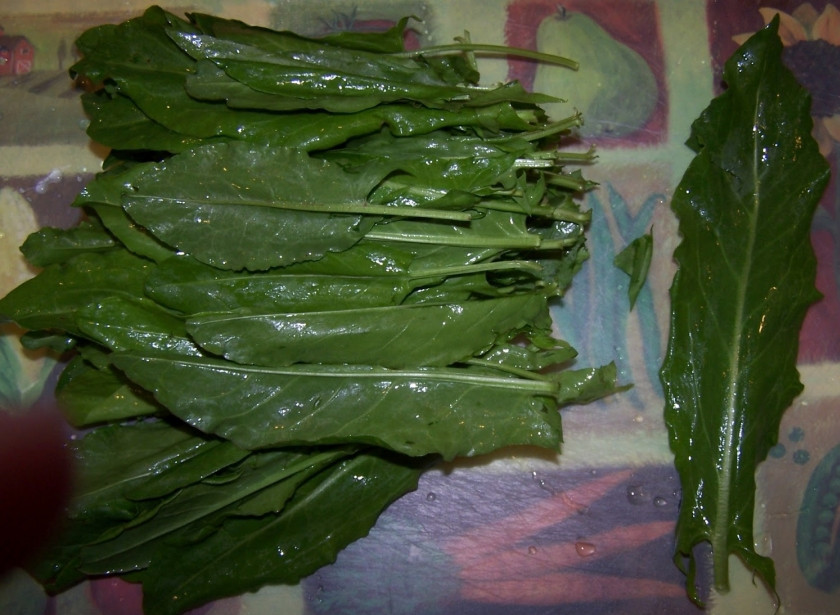 1. Этап. Суп со щавелем и курицей: Шаг 4. Помойте и нарежьте на мелкие полосочки щавель.