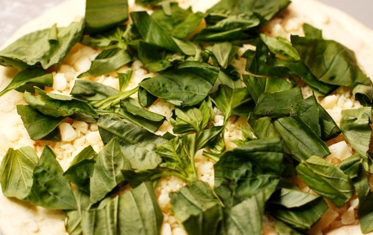 1. Этап. Фокачча с сыром и базиликом: Меньший кусок теста раскатываем в лепешку, выкладываем ее на присыпанный мукой противень. Посыпаем лепешку тертым сыром и крупно нарубленными листьями базилика.