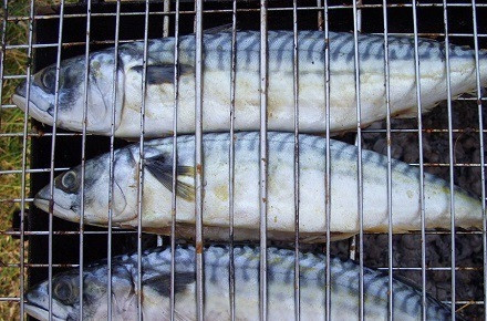 1. Этап. Скумбрия на барбекю: Поместите скумбрию на решётку и уберите на мангал для барбекю.