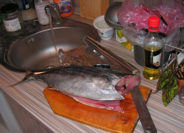 1. Этап. Тунец, запеченный в фольге: Тушку тунца тщательно промываем, голову отрезаем и удаляем внутренности.