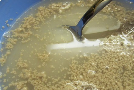 1. Этап. Багет в духовке: 1. В теплой, но не горячей воде разводим дрожжи, соль и сахар.