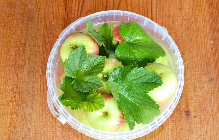 1. Этап. Моченые яблоки с медом: Залейте яблоки рассолом.