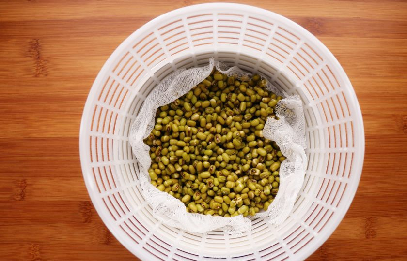 1. Этап. Салат с пророщенным машем: На следующий день промойте маш и поместите его в дуршлаг, застеленный марлей. Дуршлаг, в свою очередь, поставьте в емкость такого размера, чтобы он не касался дна емкости. Теперь в течение дня необходимо раз в 2-3 часа выливать на маш стакан чистой холодной воды. Дайте воде стечь, а затем вылейте воду из емкости. Проращиваемый маш лучше всего держать в прохладном темном месте.