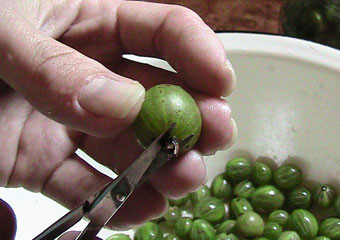 1. Этап. Крыжовник в сиропе: 1. Процесс обработки крыжовника следует начать с того, что ягоды как следует вымыть и удалить хвостики. Довольно удобно делать это маленькими ножницами. После того, как все ягоды очищены их нужно еще раз как следует промыть под проточной водой и хорошо просушить.