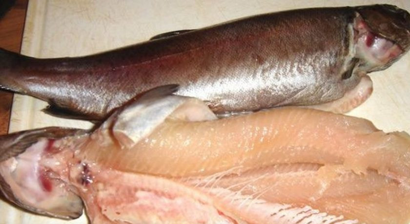 1. Этап. Форель белая: Промойте рыбу, просушите ее бумажной салфеткой, выпотрошите, удалите жабры и кости.