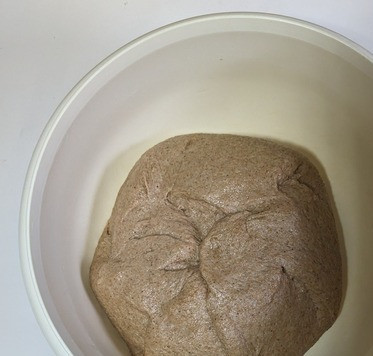 1. Этап. Полбяной хлеб с квасом: Переложить в миску, смазанную растительным маслом.